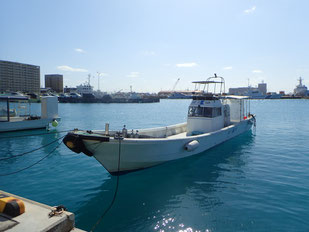 石垣島で「大寒」のんびり昭和ダイビング