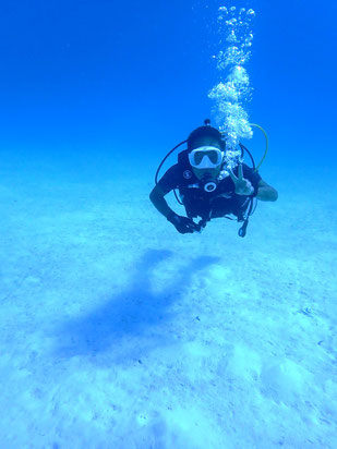 6日間×2ダイブ限定