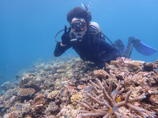 プライベート体験ダイビング