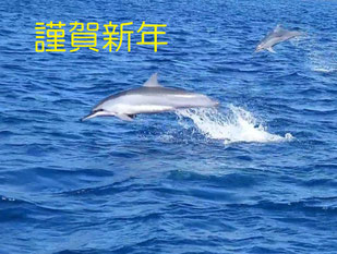 謹賀新年2026｜ヒートハートクラブ石垣島