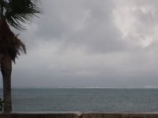 台風26号｜ヒートハートクラブ石垣島