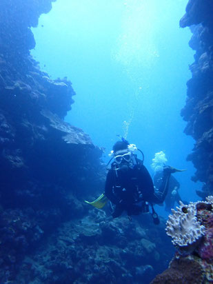 弾丸ダイビング｜ヒートハートクラブ石垣島