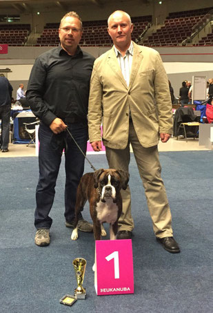 Dortmund Boxer Hund vonderwaldnielerheide Ausstellung