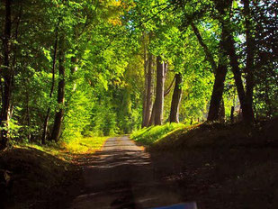 die Landschaft, fast wie in einem Park