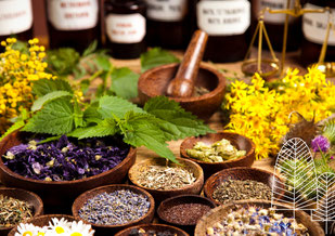 Naturapotheke, TCM Ernährung, Heilkräuter, Workshops, ätherische Öle, Bachblüten