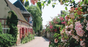 Dimanche 13 Septembre 2020 92 Eme Fete Des Roses A Gerberoy