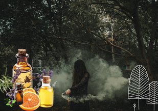 Naturapotheke, TCM Ernährung, Heilkräuter, Workshops, ätherische Öle, Bachblüten