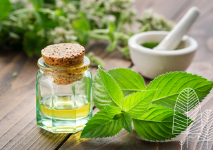 Naturapotheke, TCM Ernährung, Heilkräuter, Workshops, ätherische Öle, Bachblüten