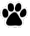cani da tartufo razze