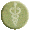 Die Therapeutin