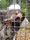 Affe hinter Gitter