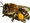 Biene
