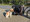 Platz satt, bequem, komfortabel, sicher. Softbox DBX-110