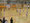 Finale w