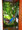 Floripa Surf Hostel - Florianopolis - Brasilien