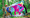 Kind auf Kletterelement mit Dino-Motiv im CLIMB UP! - Kletterwelten KIDS-Park