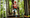 Child climbing safely at the CLIMB UP! high ropes course – family course with wobbly bridges in the forest