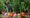 Kletterin balanciert im CLIMB UP! - KIDS-Park; bunte Helme liegen im Vordergrund