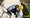 Kletterer an der Felswand in der CLIMB UP! - Bergwelt – gesichert am Klettersteig