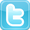 Pagina ufficiale di Twitter