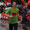 Köln Marathon 2008 - Endspurt Andreas