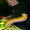 22.03.2014 TOO FAST-TOO HARD! Tekknozug am Gleis 3 mit DJ MAHATMA u.a. @ Rhythmustherapie