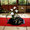 2010.4　江戸東京たてもの園　小金井桜まつり カラー・藤ヅル・木五倍子