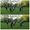 Wu Tai Chi im Park in Neuss