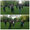 Wu Tai Chi im Park in Neuss