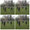 Wu Tai Chi im Park in Neuss
