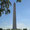 Das Washington Monument. Auf dem Weg zum Lincoln Memorial.
