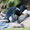 rockhopper