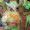 Craftblocks Craft Box- Present Gift Glass Blocks Seves Vitrablok present gift Glasbausteine Glassteine Spardose Glas Sparstrumpf Hochzeit Glas Hochzeit Geburtstag Birthday Anniversary Namenstag Jubiläum Haus Glasstein Österreich Schweiz  Belgien Luxemburg