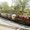 12.5. Vale of Rheidol Railway (Devil's Bridge - Aberystwych)