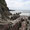 14.5. Mumbles Head, Paradies für die Steinesammlerin