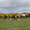 15.5. Strandwanderung in Rhossili