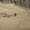15.5. Strand an der Rhossili Bay
