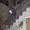 Natale alle finestre 2015