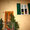 Natale alle finestre 2014
