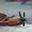 Fairey Gannet