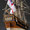 34-33 バウンティー  H.M.S.BOUNTY  国　籍   nationality     イギリス 建造年   age     1787 縮　尺   scale   1/100 製作方法 kit   キット 製 作：井上　雄治　Yuji Inoue