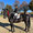 Romy Wieprecht mit Misko XVII Rajko TC