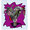 "BOUQUET" (PURPLE)