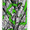 "PRESENCE" (GREEN)