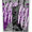 "DEAD OR ALIVE" (WHITE & PURPLE)