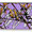 "FITIS" (LIGHTPURPLE) Oil, spraypaint, acrylic and ink on wooden panel with frame - 120x45x3.5cm