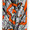 "PRESENCE" (ORANGE)