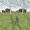 Habitations passives