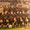 19.11.99: Pro Vasto - Locorotondo 4-1