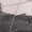 12.10.69: il rigore decisivo di Taverna durante pro vasto - chieti 1-0